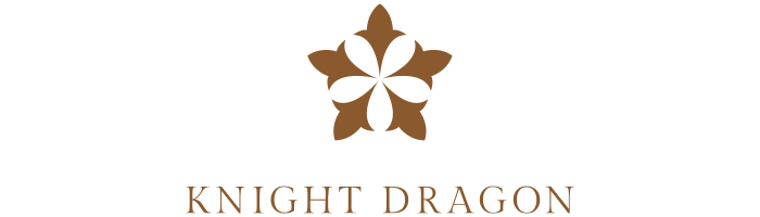 Knght Dragon